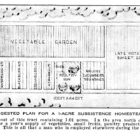 Planning a Subsistence Homestead Illustration 1.jpg