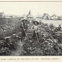 Among School Gardens 2.jpg