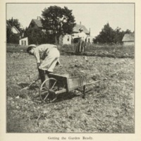 The School Garden Book boy.jpg