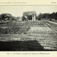 Some Types of Children's Garden Work 4.jpg