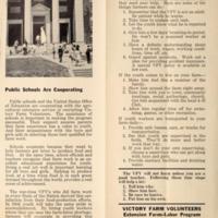 Youth Can Help 4.jpg