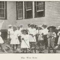 The Wee Tots.jpg