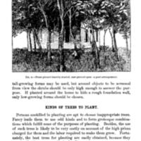 Tree Planting on Rural School Grounds A Poor Arrangment.jpg