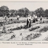 School Gardens 3.jpg