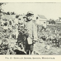 Some Types of Children's Garden Work 3.jpg