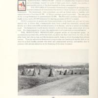 A Homestead and Hope 2.jpg