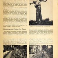 Growing vegetables in town and city 3.jpg