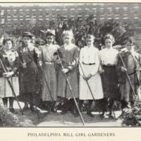 Among School Gardens 3.jpg