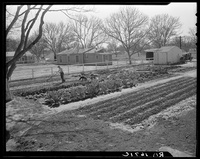 El Monte federal subsistence homesteads.jpg