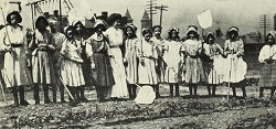 a school garden